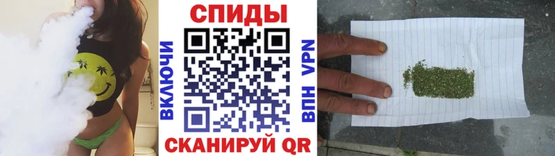 Бутират буратино  Купить где  Владивосток 