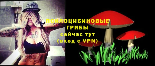 трава Михайловка