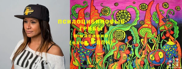 спиды Михайлов