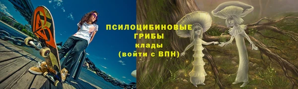 СК Михайловск