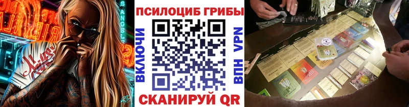 Купить закладки  Владивосток  Галлюциногенные грибы Psilocybe 